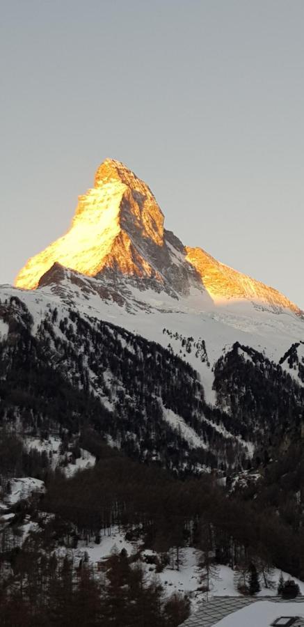 Haus Les Melezes C Apartamento Zermatt Exterior foto
